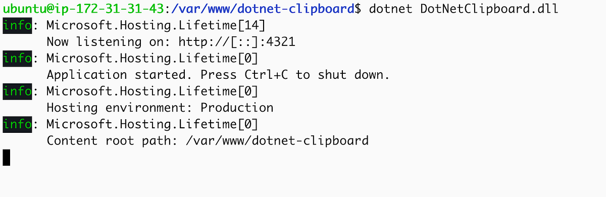Deploying .NET Application