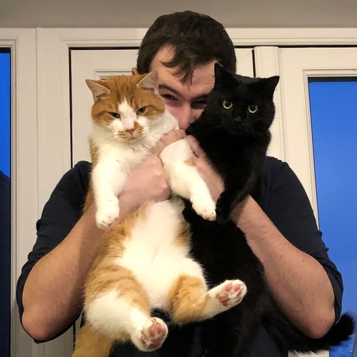 Year in review: 2024